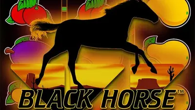 black horse